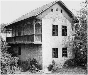 anemonesilvestrisblogspotcom