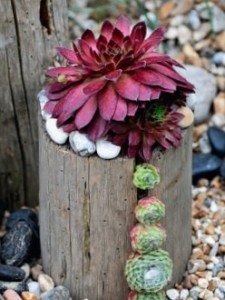 1e3620c3e536796dbbdc4f1154aa6c7e