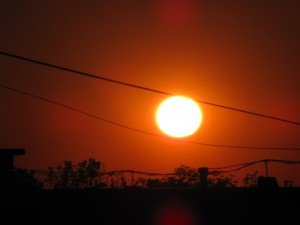 IMG_1799