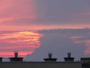 IMG_1809