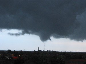 IMG_1817