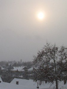 IMG_2768