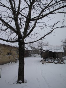 IMG_6653