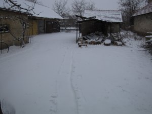 IMG_6655