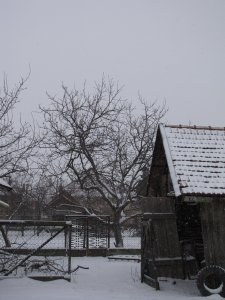 IMG_6658