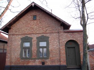 szurkesbarna_IMG_5452