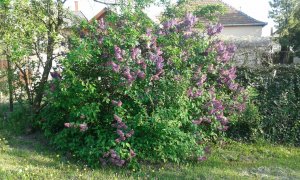 20150425_173908