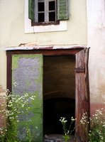 100_4480_resize_resize