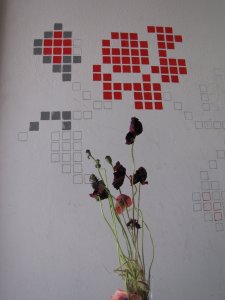 IMG_5667