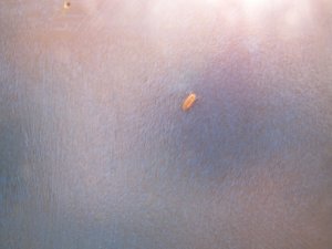 IMG_9759