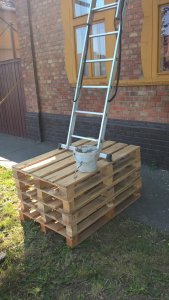 WP_20160724_09_14_59_Pro