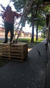 WP_20160724_09_17_13_Pro