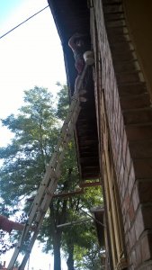 WP_20160724_09_17_34_Pro